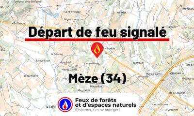 fdf-signalement-26266-mini.jpg