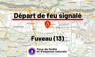 fdf-signalement-26287-mini.jpg