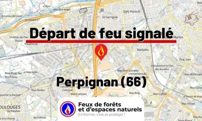 fdf-signalement-26303-mini.jpg