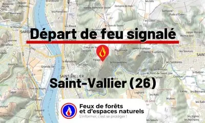 fdf-signalement-26324-mini.jpg