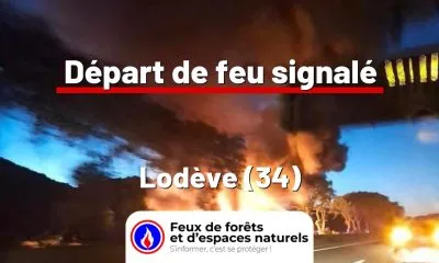 fdf-signalement-26339-mini.jpg