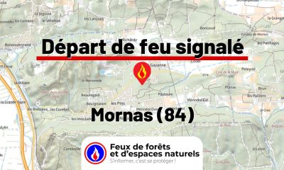 fdf-signalement-26345-mini.jpg