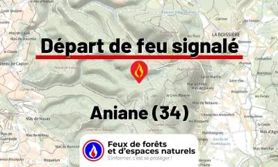 fdf-signalement-26356-mini.jpg