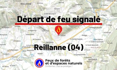 fdf-signalement-26361-mini.jpg