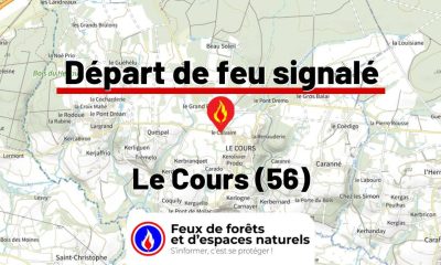 fdf-signalement-26366-mini.jpg