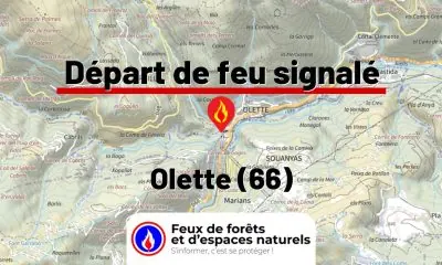 fdf-signalement-26397-mini.jpg