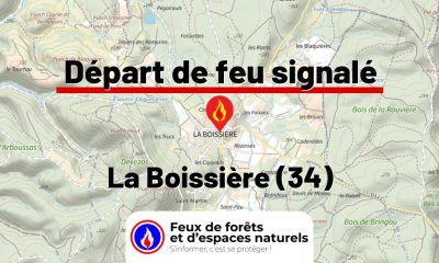 fdf-signalement-26459-mini.jpg