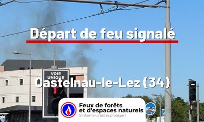 fdf-signalement-26464-mini.jpg
