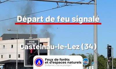 fdf-signalement-26464-mini.jpg