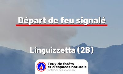 fdf-signalement-26485-mini.jpg