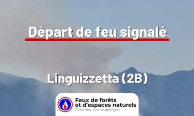 fdf-signalement-26485-mini.jpg