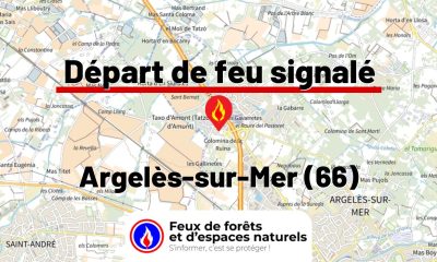 fdf-signalement-26491-mini.jpg