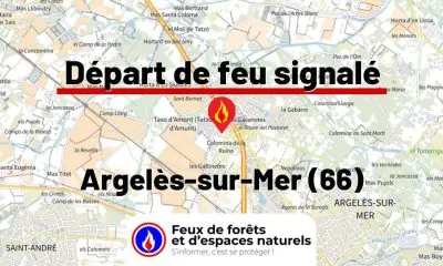 fdf-signalement-26491-mini.jpg