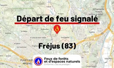 fdf-signalement-26499-mini.jpg