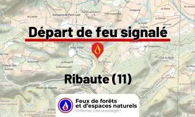 fdf-signalement-26504-mini.jpg