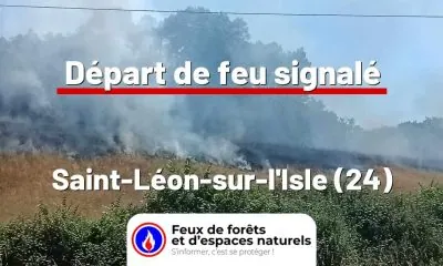 fdf-signalement-26509-mini.jpg