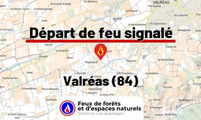 fdf-signalement-26540-mini.jpg