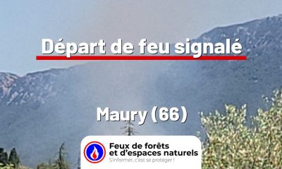 fdf-signalement-26545-mini.jpg