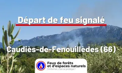 fdf-signalement-26551-mini.jpg