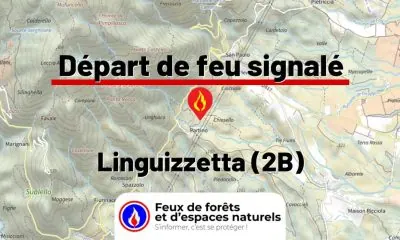 fdf-signalement-26562-mini.jpg
