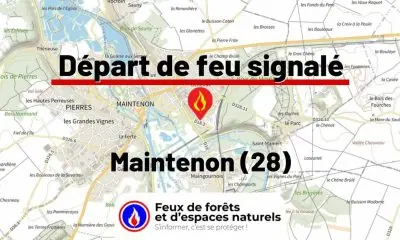 fdf-signalement-26640-mini.jpg