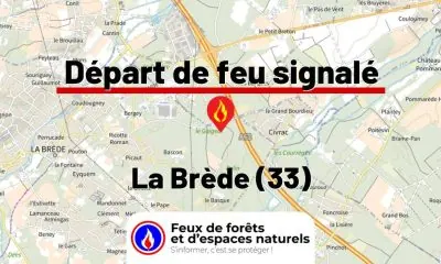 fdf-signalement-26645-mini.jpg