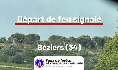 fdf-signalement-26664-mini.jpg