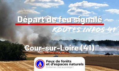 fdf-signalement-26683-mini.jpg