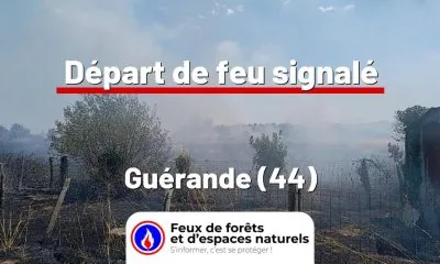 fdf-signalement-26814-mini.jpg