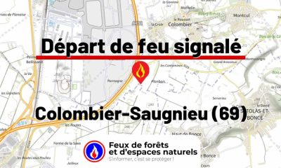 fdf-signalement-26826-mini.jpg