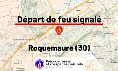 fdf-signalement-26975-mini.jpg