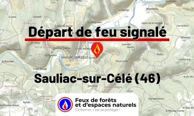 fdf-signalement-27007-mini.jpg