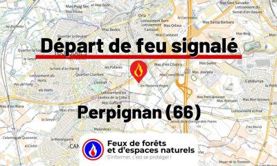 fdf-signalement-27177-mini.jpg