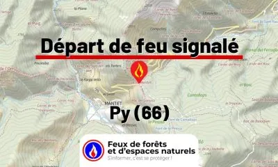 fdf-signalement-27189-mini.jpg