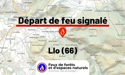 fdf-signalement-27198-mini.jpg