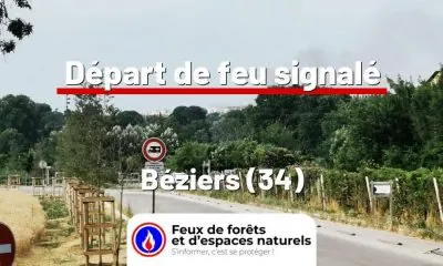 fdf-signalement-27216-mini.jpg