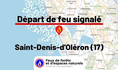 fdf-signalement-27303-mini.jpg
