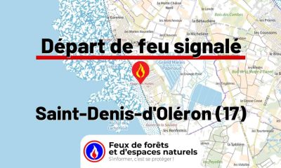 fdf-signalement-27303-mini.jpg