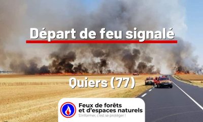 fdf-signalement-27344-mini.jpg