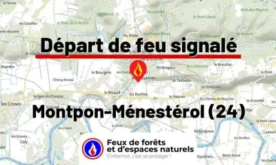fdf-signalement-27377-mini.jpg