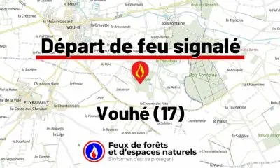 fdf-signalement-27387-mini.jpg