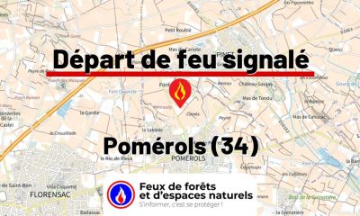 fdf-signalement-27403-mini.jpg
