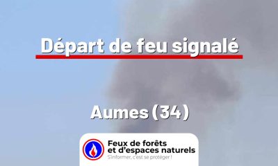 fdf-signalement-27403-mini.jpg