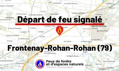fdf-signalement-27451-mini.jpg
