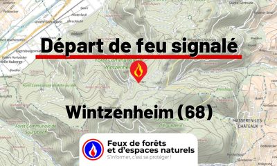 fdf-signalement-27474-mini.jpg