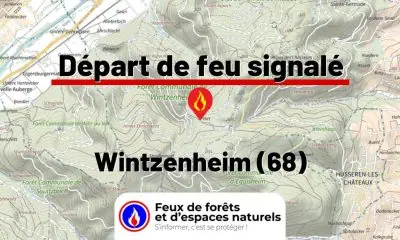 fdf-signalement-27474-mini.jpg