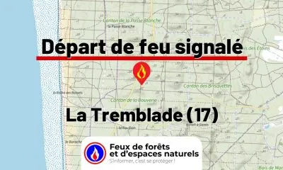 fdf-signalement-27491-mini.jpg