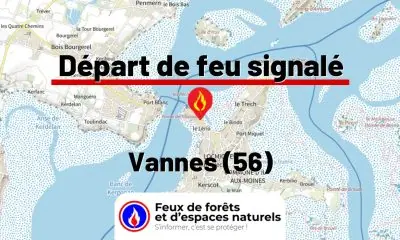 fdf-signalement-27496-mini.jpg