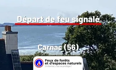 fdf-signalement-27496-mini.jpg