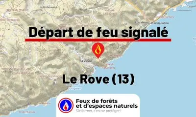 fdf-signalement-27566-mini.jpg